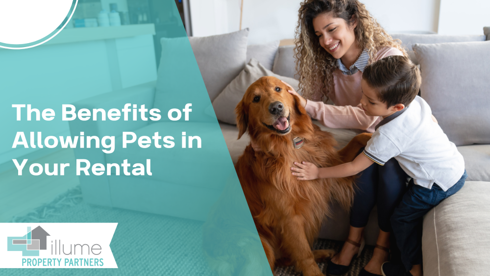 The Benefits of Allowing Pets in Your Rental